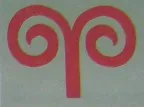 koshkarmuizi_4_11zon.webp