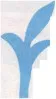 tandaj_30_11zon.webp